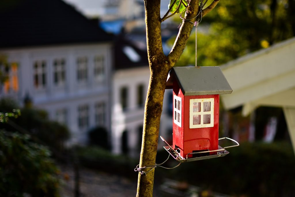 What to Consider Before You Build Your Dream Home