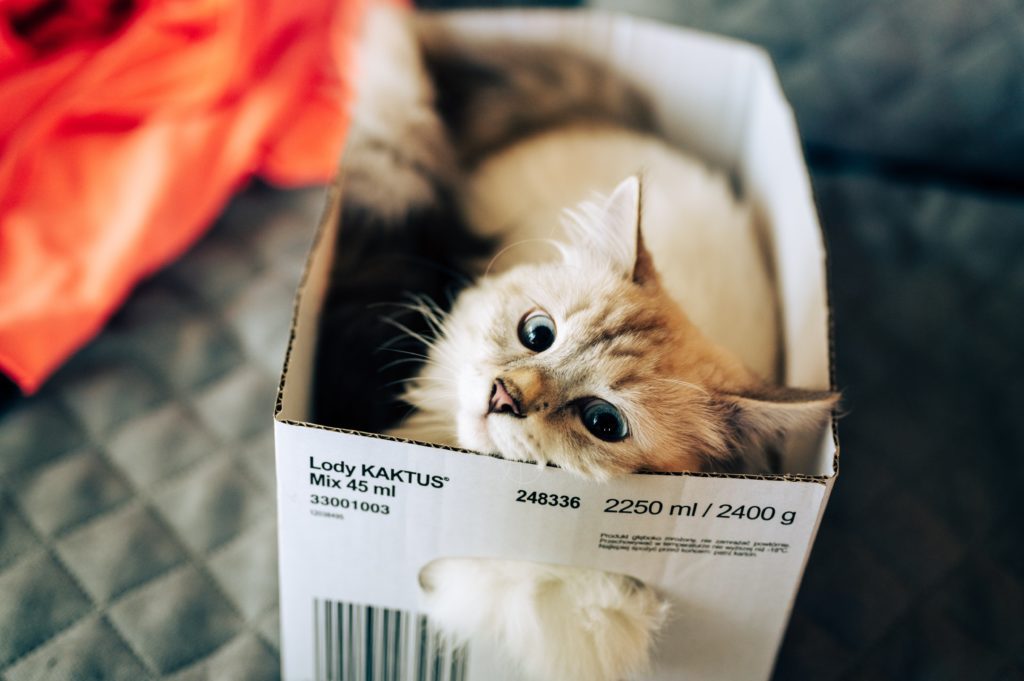 How to Move on a Budget: Ask a Professional