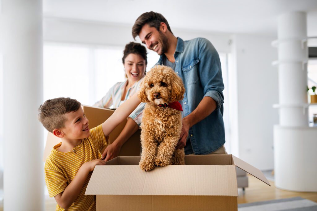 moving with pets
